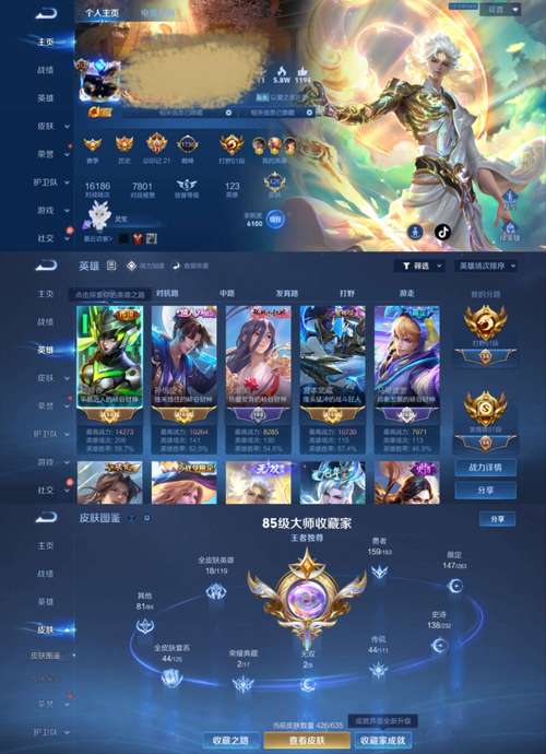 v10每周共享几次皮肤