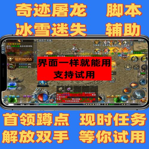 冰雪辅助脚本设置