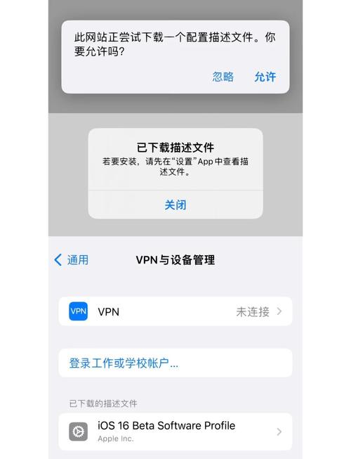 透视辅助ios版下载安装