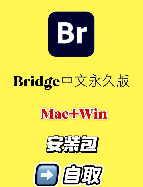 国际服免费挂