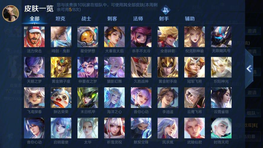 王者vip10皮肤共享有次数吗