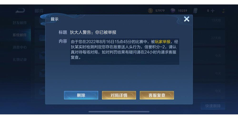 王者荣耀举报那种情况
