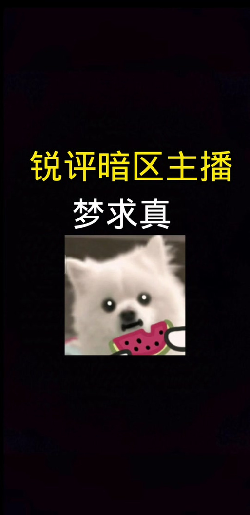 梦求真(暗区突围)