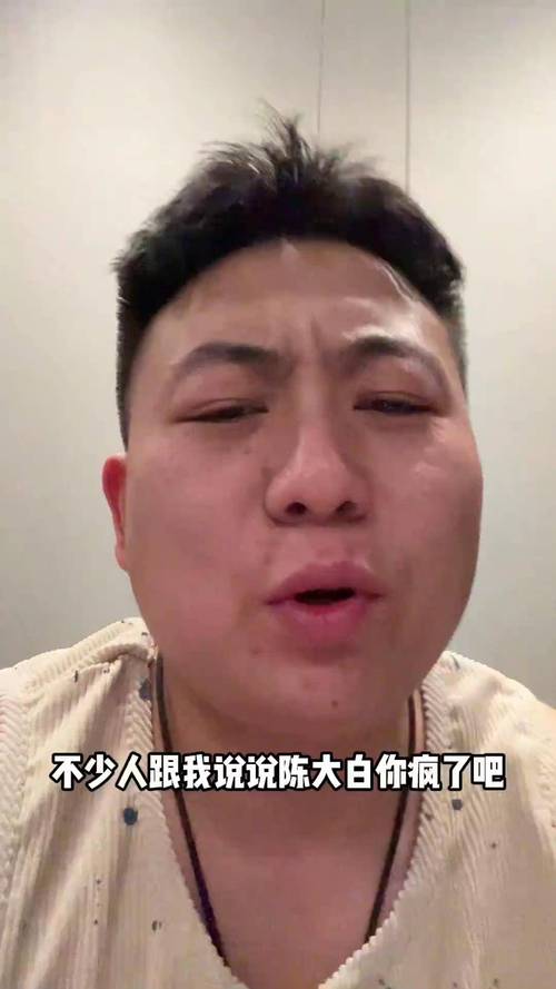 陈大白上暗陈大白小说最新章节更新时间