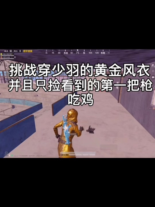 少羽同款科技直装