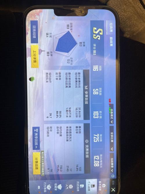 绿体直装3.0和平
