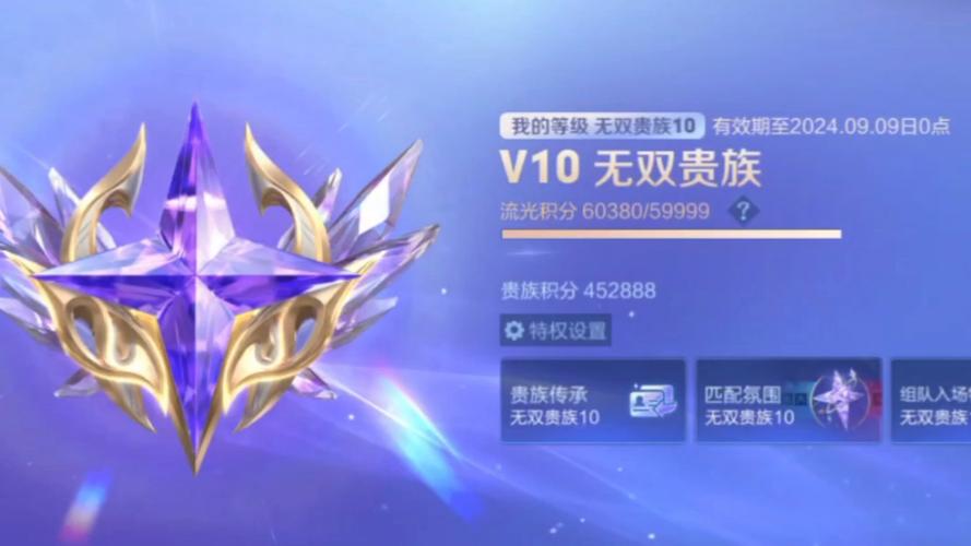 王者贵十共享皮肤次数