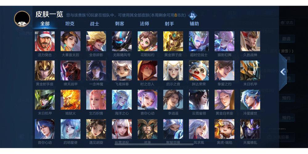 皮肤共享只能是v10吗