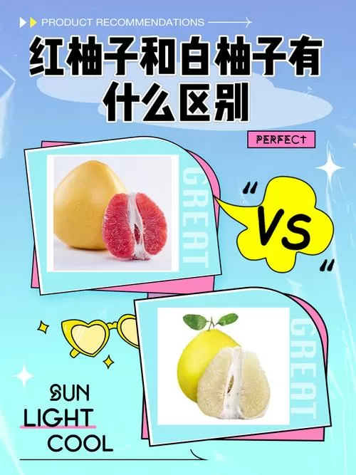 白柚和红柚有什么区别图标