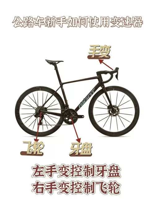 变速器手机版下载