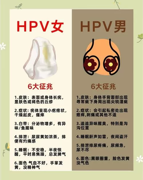 hpv是怎么得来的女性