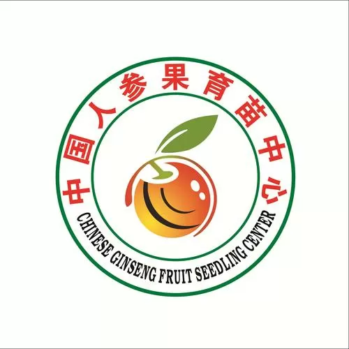 人参果起什么作用