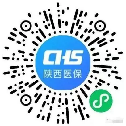 陕西医保app官网登录