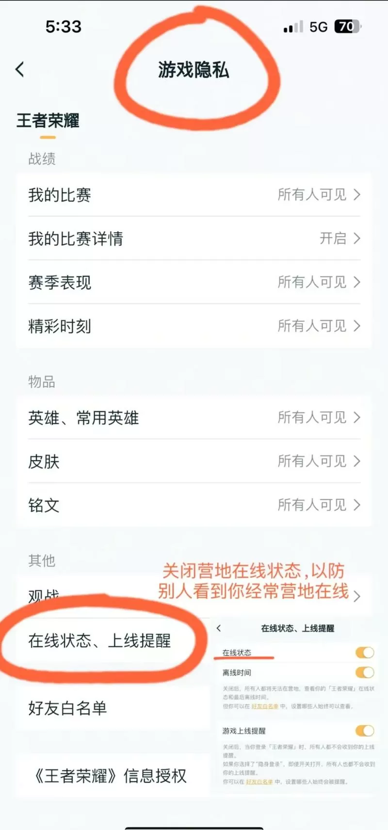 王者荣耀隐藏战绩之后别人看得到吗