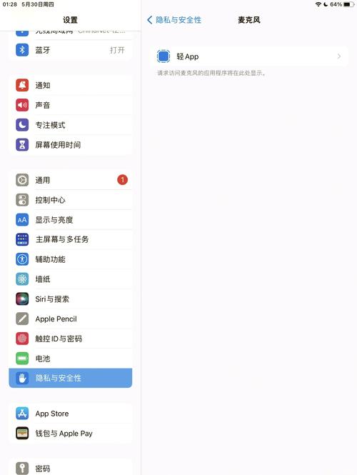 苹果ipad语音权限怎么开截图