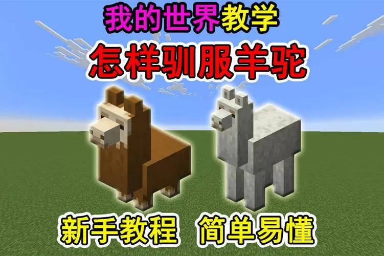 我的世界羊驼吃什么才能驯服