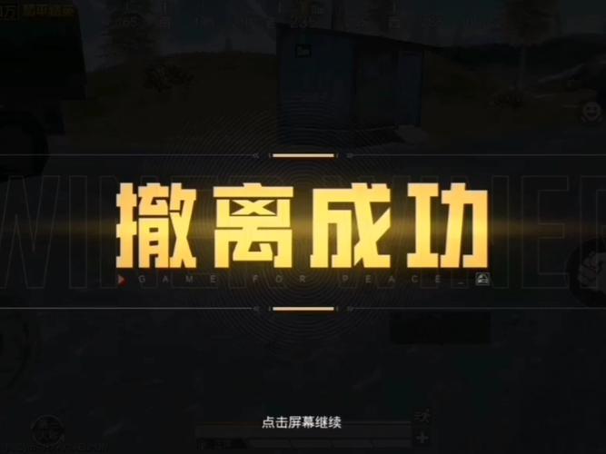 和平精英自由视角不见了