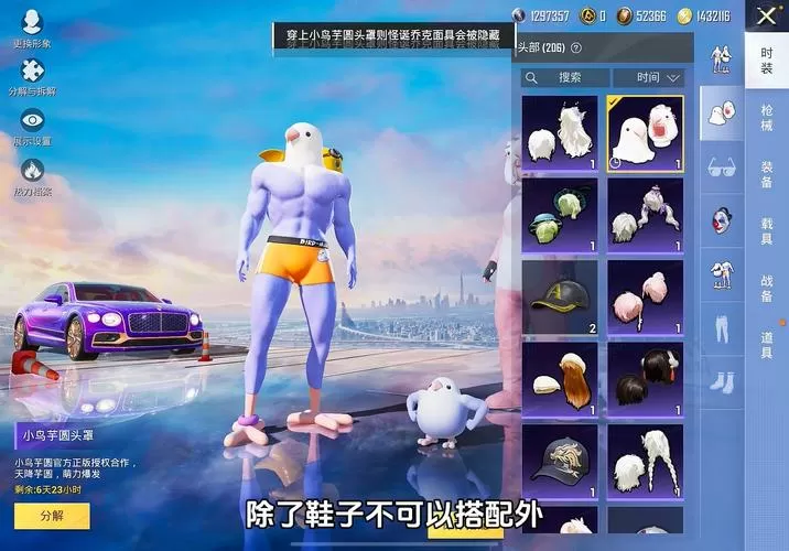 和平精英小鸟直装
