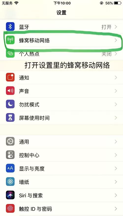 苹果手机设置里没有电话选项