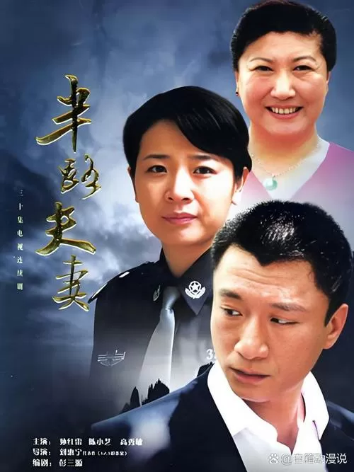 半路夫妻2第二部电视剧