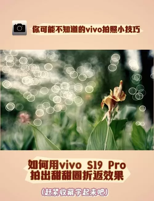 vivo手机人像背景虚化怎么办