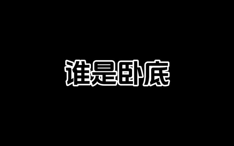 卧底2
