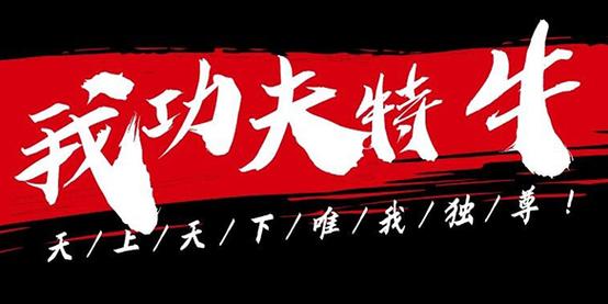 我功夫特牛安装