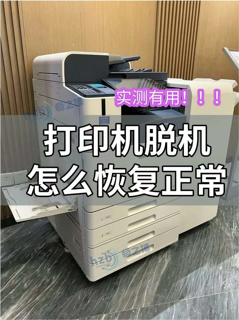 惠普打印机脱机怎么重新连接