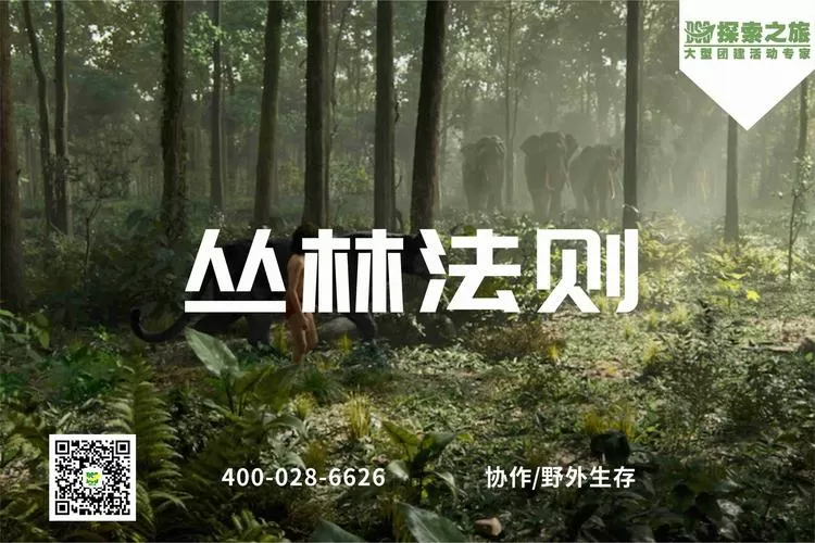 丛林生存法则