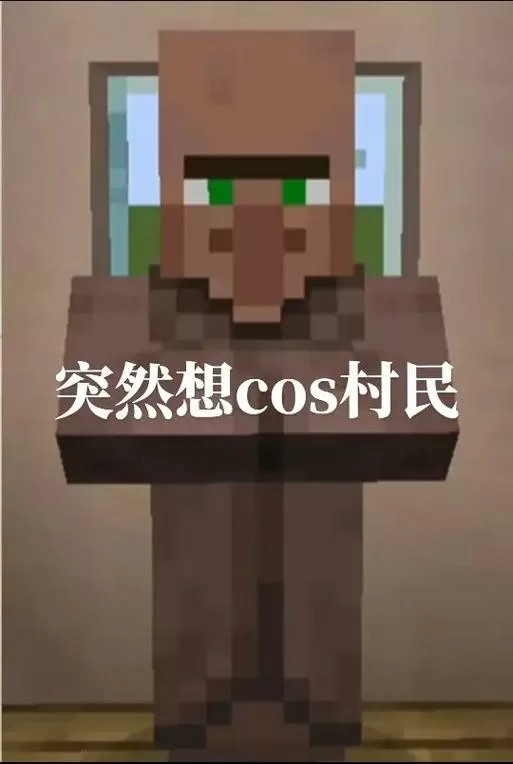 我的世界村民战争