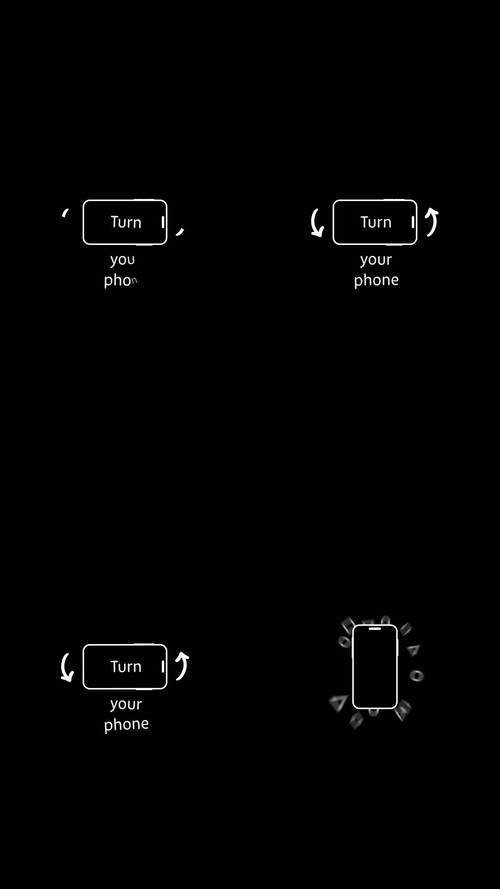 手机镜面翻转app