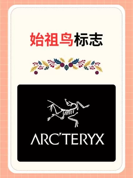 如何驱赶鸟最好的办法
