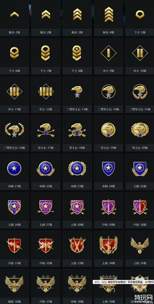 csgo级别等级截图