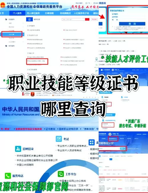 个人技能证书查询