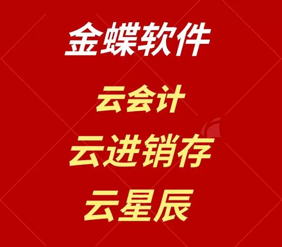 金蝶打印总账和明细账