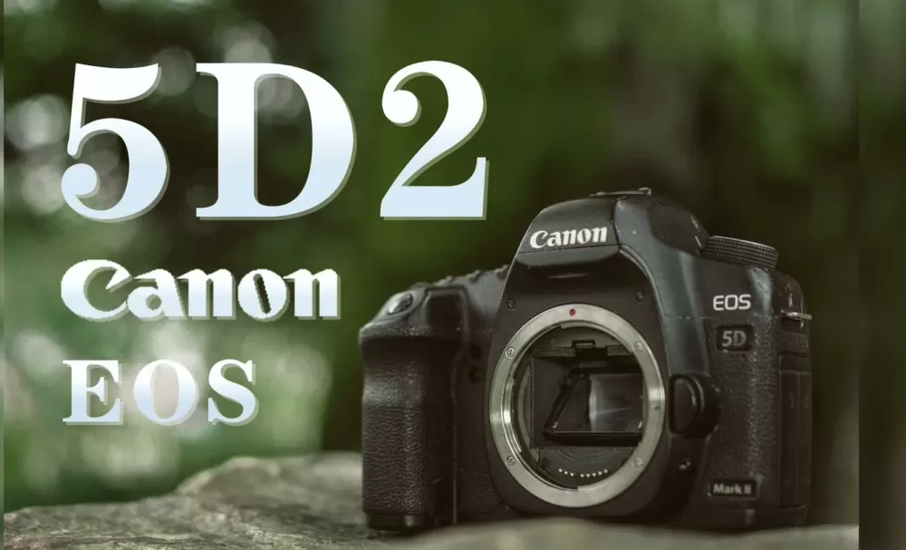 canon eos 5d