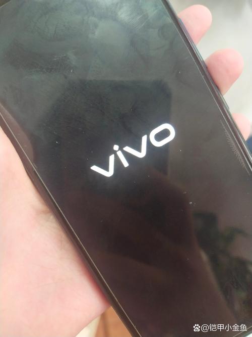 vivox21黑屏了但有反应