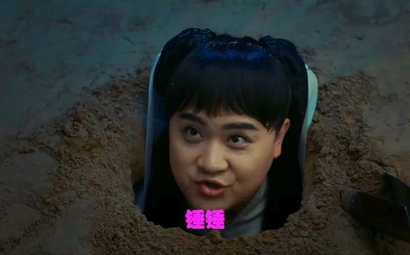 王大锤版小龙女