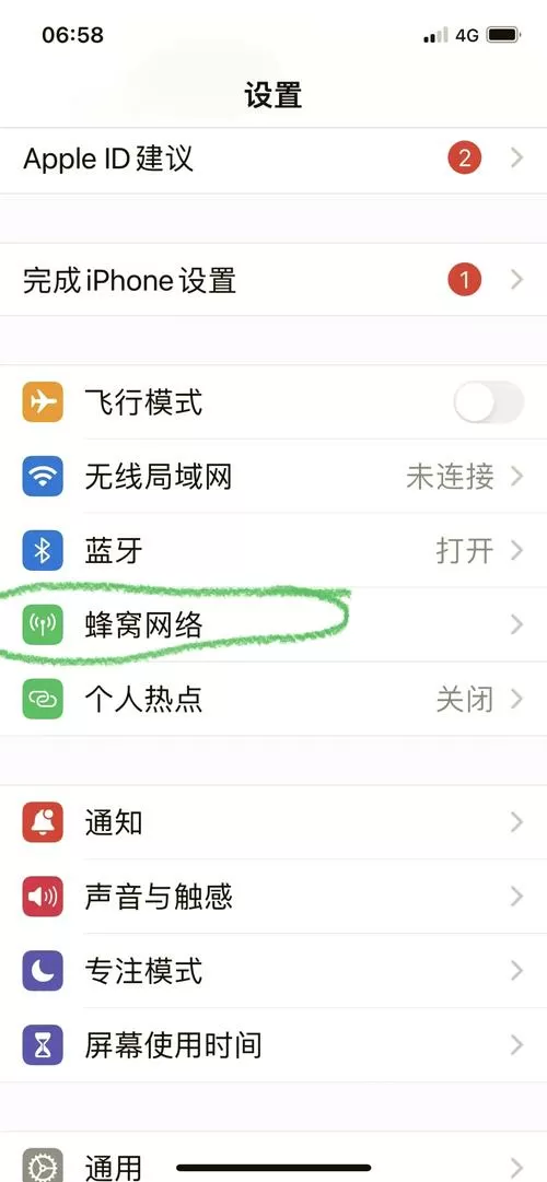 苹果手机4g5g在哪里设置