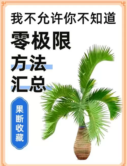 零极限清理十二步骤