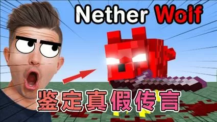 MC老哥鉴定视频真假