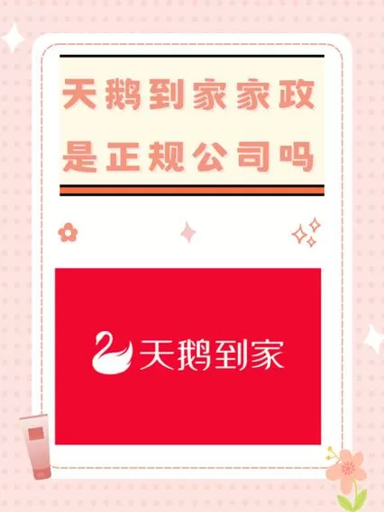 天鹅家政收费标准2025