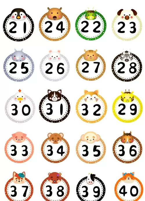 十二生肖49码表
