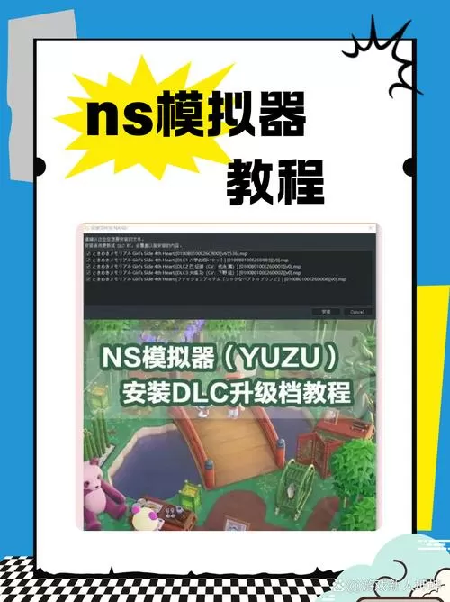 ns的dlc怎么用