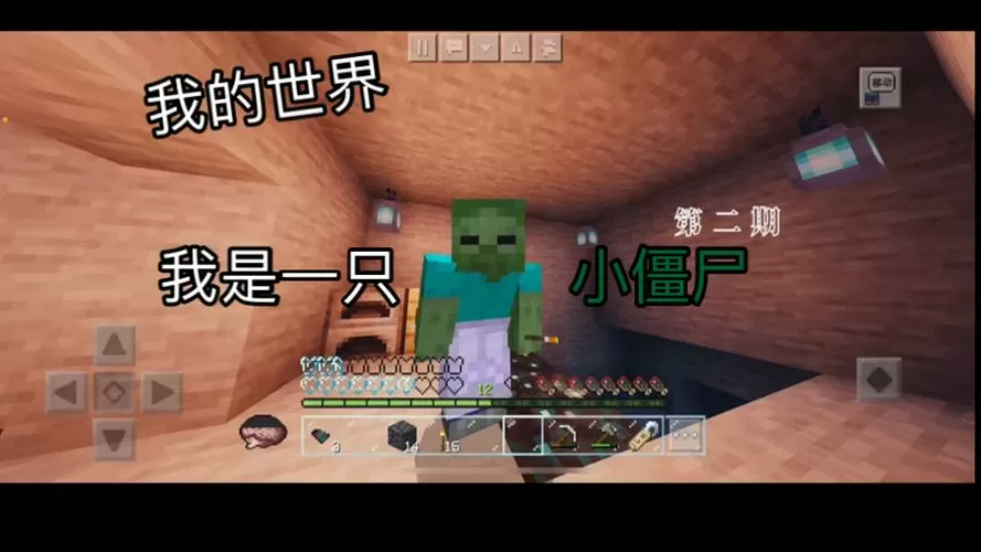 我的世界之我是一只小僵尸生存