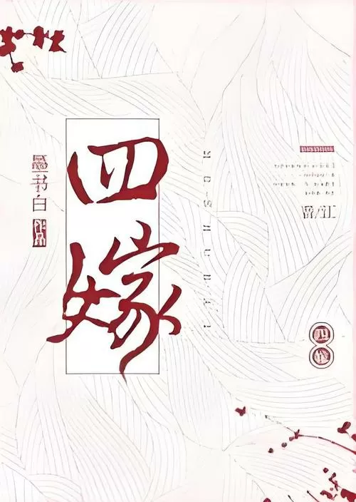 小说四嫁