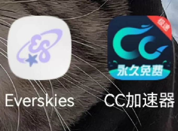 everskies免费版下载