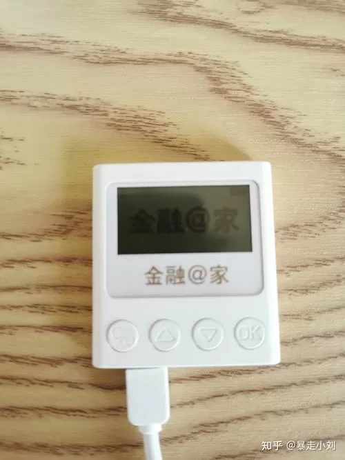 银行u盾浏览器设置
