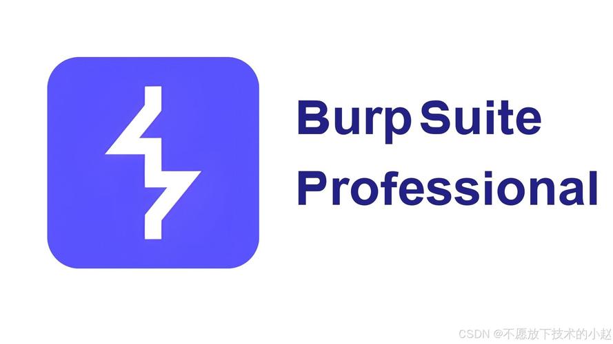 burpsuite官网下载