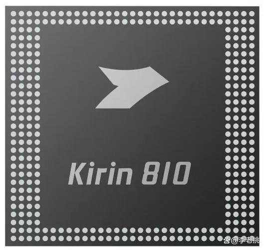 我想看8100